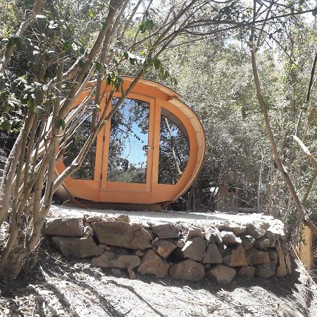 Biosfera Lodge Olmue Bagian luar foto