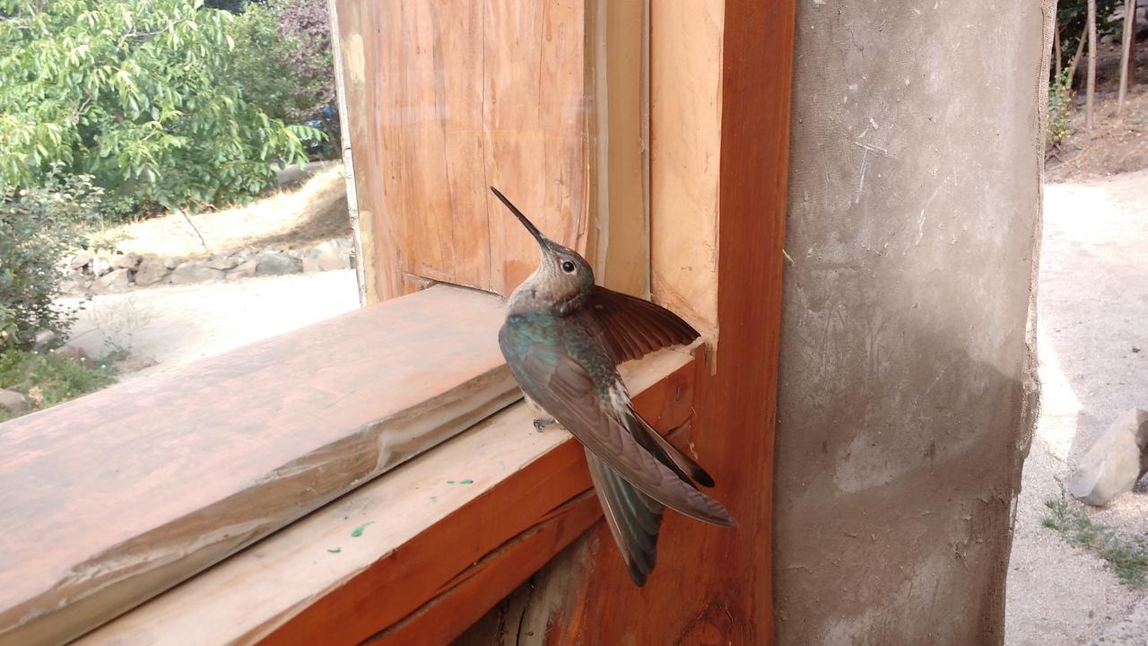 Biosfera Lodge Olmue Bagian luar foto