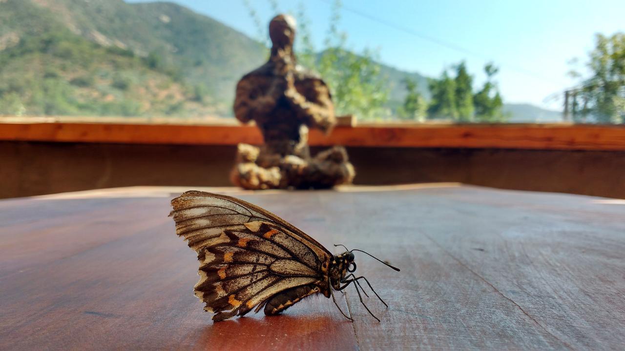 Biosfera Lodge Olmue Bagian luar foto