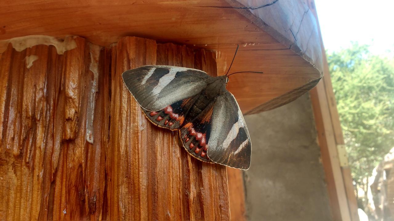 Biosfera Lodge Olmue Bagian luar foto