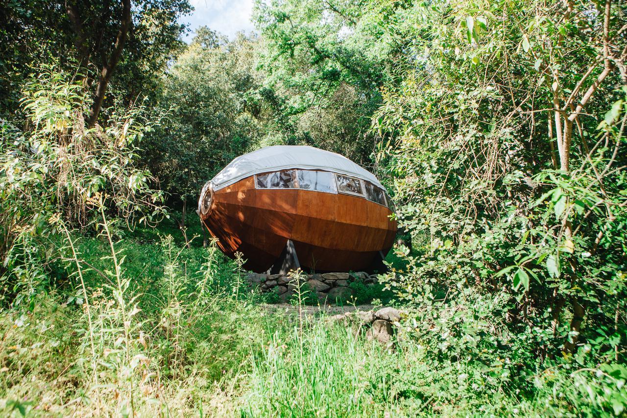 Biosfera Lodge Olmue Bagian luar foto