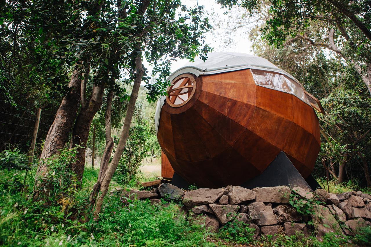 Biosfera Lodge Olmue Bagian luar foto