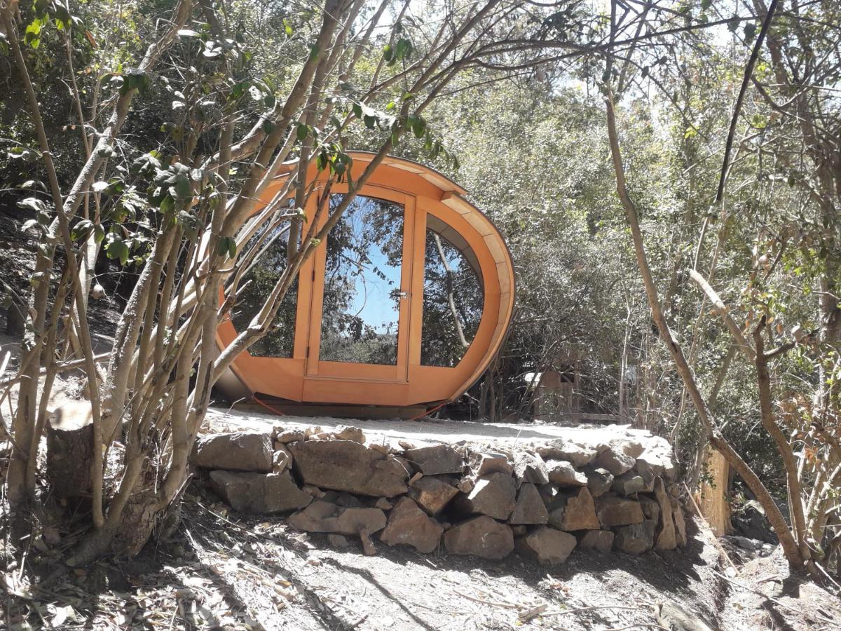 Biosfera Lodge Olmue Bagian luar foto